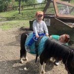 phoca_thumb_m_vlet km 38 Fotogalerie